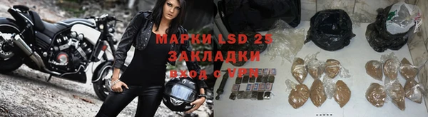 PSILOCYBIN Вяземский
