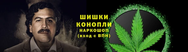 PSILOCYBIN Вяземский