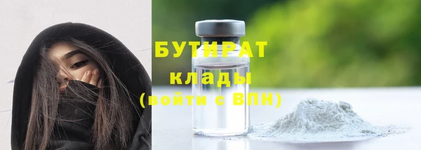 PSILOCYBIN Вяземский