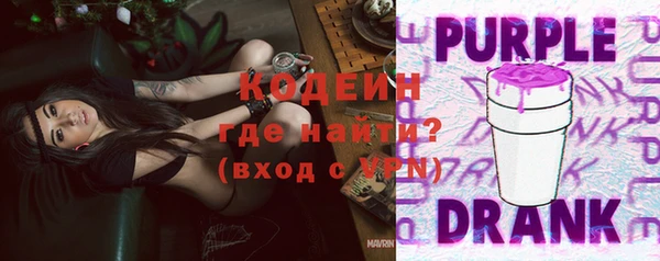 PSILOCYBIN Вяземский